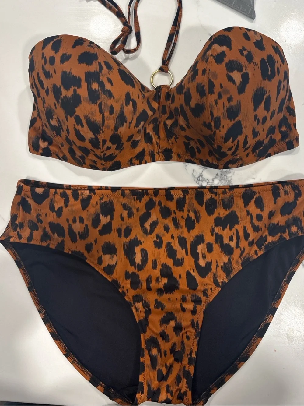 Freya wildcat leopard